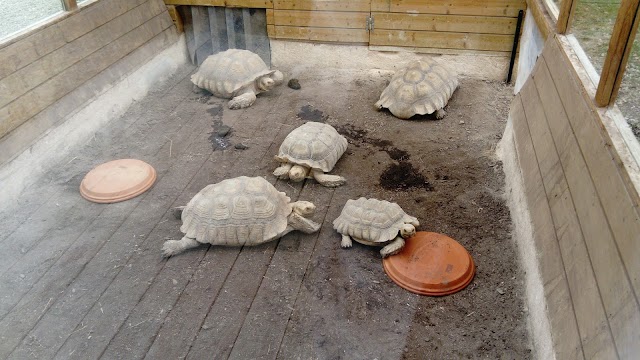 Réserve zoologique de la Haute-Touche