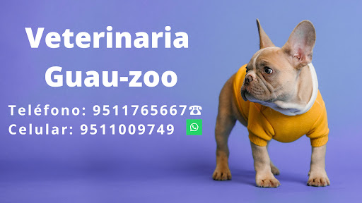 Clínica Veterinaria "Guau - Zoo"
