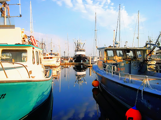 Blaine Harbor Boating Center Gallery - United States