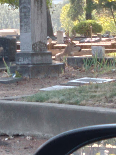 Cemetery Chapel - Thumbnail
