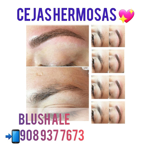 BLUSH ALE SALON LLC - Thumbnail