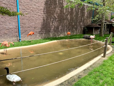 World of Birds Aviary