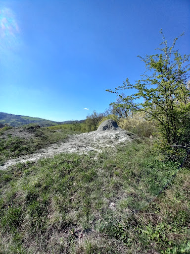 Salsa della Cintora - Visual