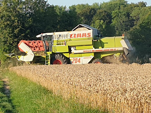 Photo n°3 de Earl Des Terres Saint Jean à Villers-l'Hôpital (Ferme)