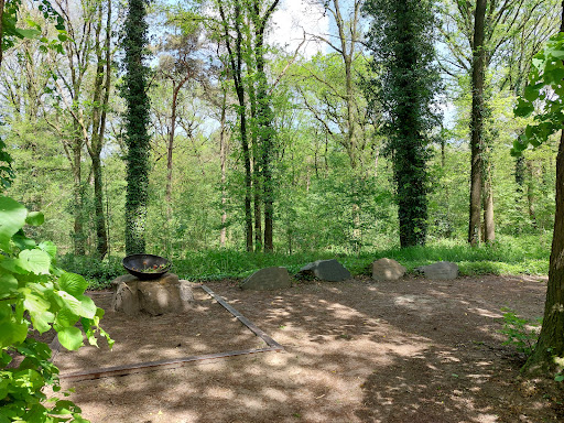Bosch en Duin Udenhout - Thumbnail