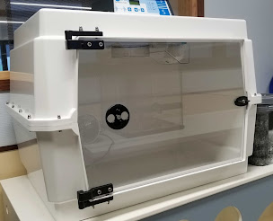 Photo n°30 de Occi'Vet Bessières - Clinique vétérinaire et Centre de Physiothérapie à Bessières (Centre de rééducation)