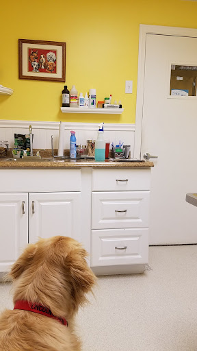 Exeter Veterinary Hospital - Thumbnail