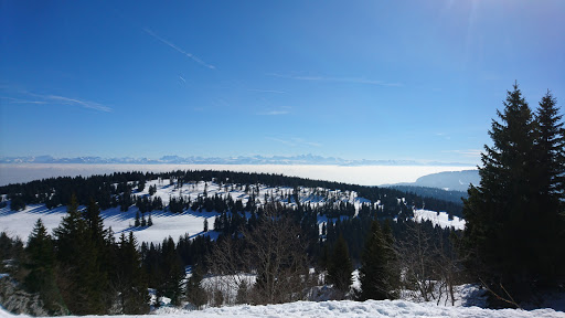 Piste de Ski du Noirmont