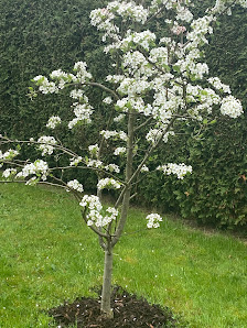 Bild: Haus & Hof Bulut GmbH Vom Inhaber