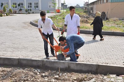 Photos of كلية الزراعة والغابات