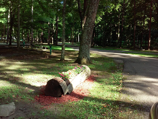 Pike State Forest - Visual