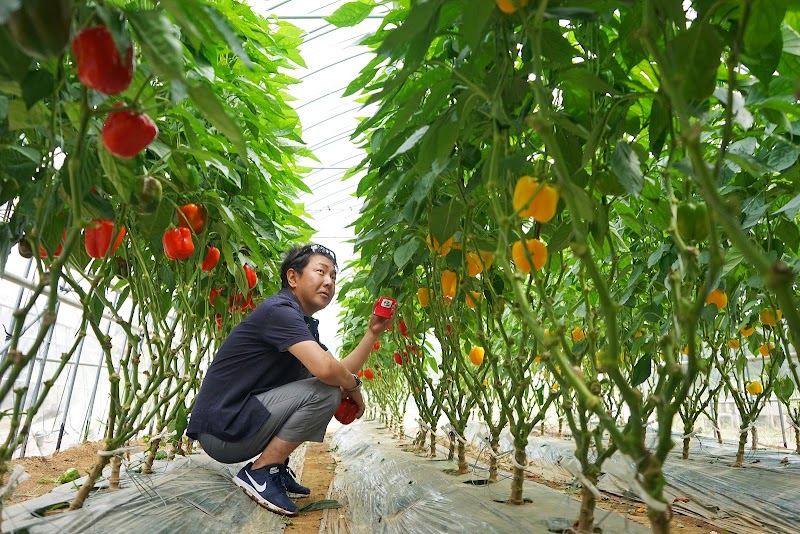株式会社東農園