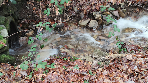 Billtalwasserfall - Visual