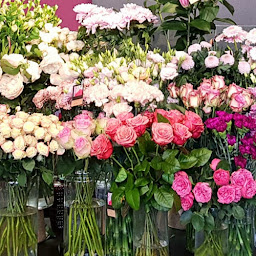 Photo n°5 de Les plus Belles Fleurs, Artisan Fleuriste à Vic-en-Bigorre (Fleuriste)