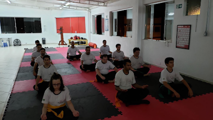 Foshan Wing Chun Brasil