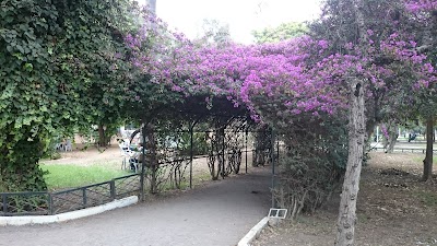 park