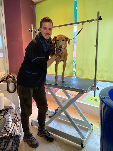 Mascotas Castellbell Centro Veterinario