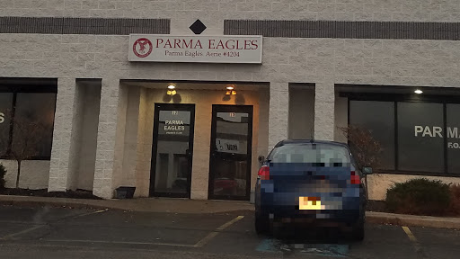 Parma Eagles 4204 - Visual
