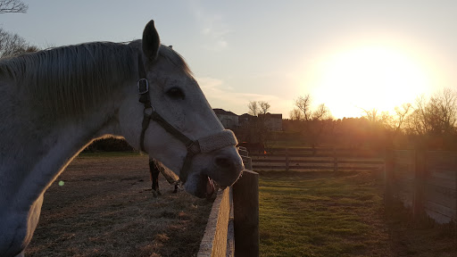 Stonebrook Farm Inc - Thumbnail