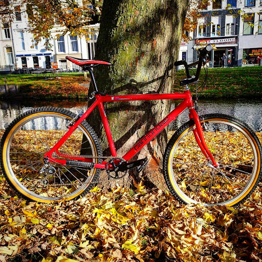 Bikes & Records - Thumbnail