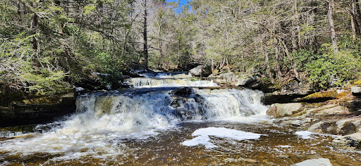 Vernooy Falls - Thumbnail