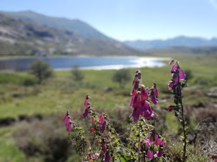 Photo n°3 de Discover Corsica à Ajaccio (Agence de voyages)