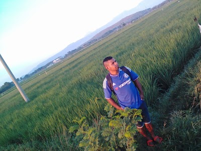 Photos of Car Rental Faisal Probolinggo