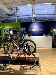 Photo n°2 de Giant Firminy à Firminy (Magasin de vélos d'occasion)