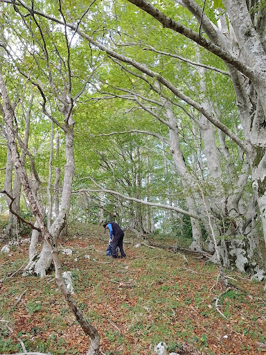 Monte Serralonga - Visual