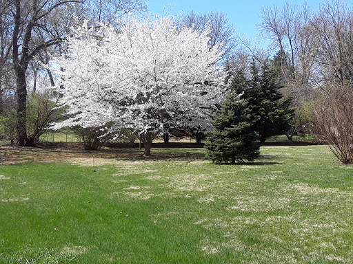 Roscioli Park - Thumbnail
