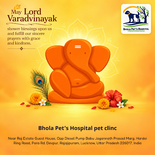 Bhola Pet's Hospital celebrates Ganpati 2026 with compassionate pet care inspired by Lord Vardvin… post image