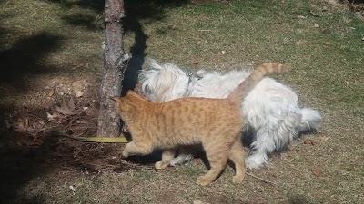 Photos of Ladan Park