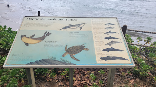 Hawaiian Islands Humpback Whale National Marine Sanctuary Visitor Center - Thumbnail