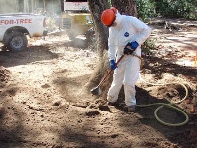 Photos of Chris Francis Tree Care