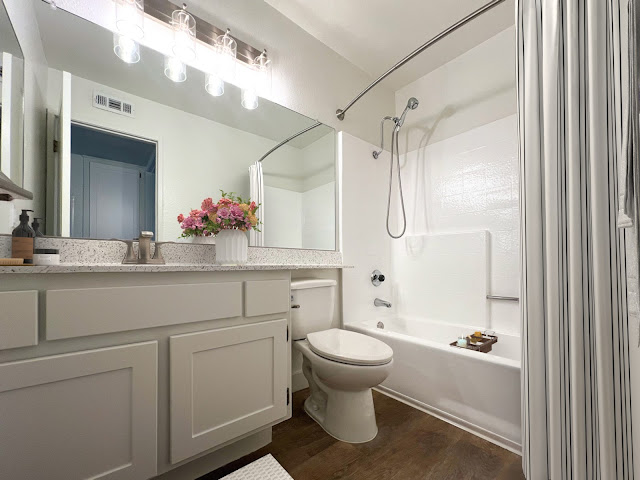 Palm Village by null