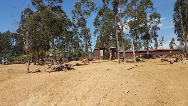 Zoo Santo Inácio