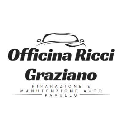 Officina Ricci Graziano - Riparazione e Manutenzione Auto Pavullo - Thumbnail