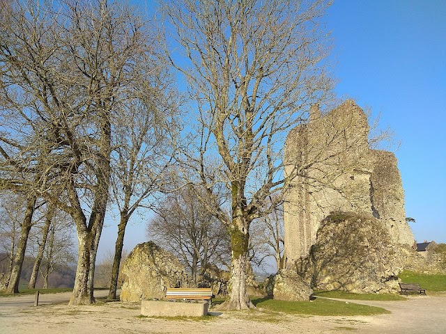 Château de Domfront