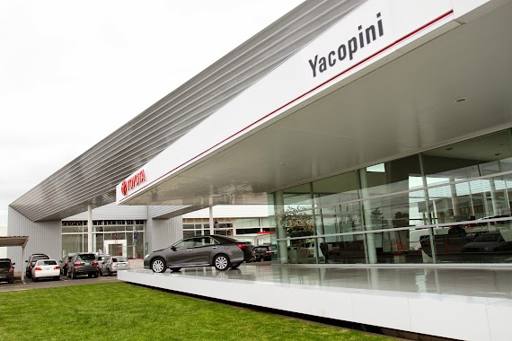 Toyota Yacopini, Author: Toyota Yacopini