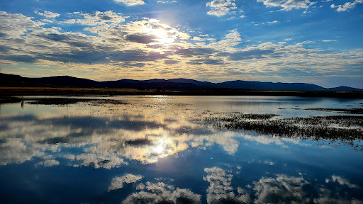 Laguna de los Majanos