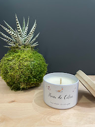 Photo n°3 de Un Chemin Vert à Parempuyre (Magasin de bougies)