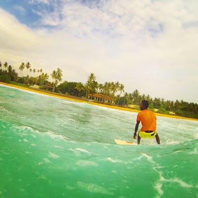 Photos of Aloha Sun Surf School