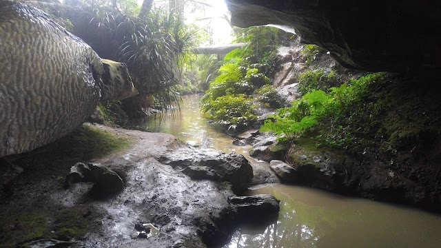 Waipu Caves