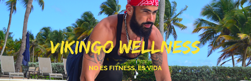Vikingo Wellness