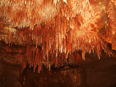 Bull Shoals Caverns