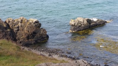 Photos of The Icelandic Sea Monster Museum