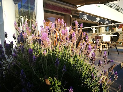 Photos of Plaza Re&ntilde;aca
