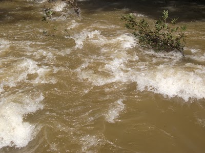 Photos of Flood Plains National Park