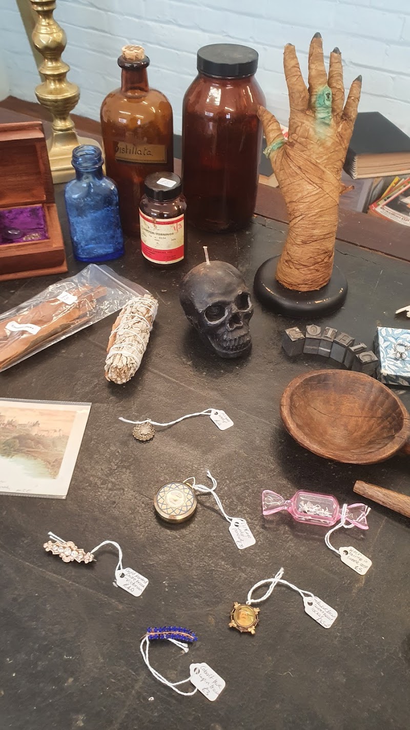 The Little Shop of Curiosity photo 3