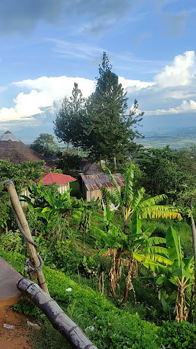 El Mirador De Lamas - Museo